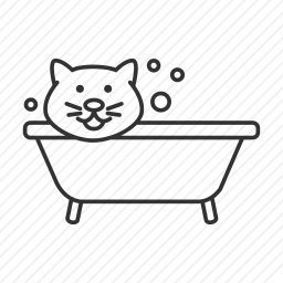洗澡的猫咪图标