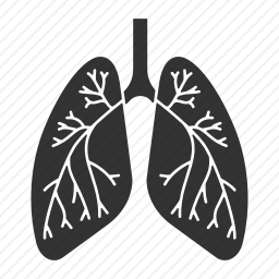 肺图标