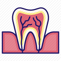 牙齿图标
