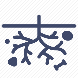 <em>根</em>图标