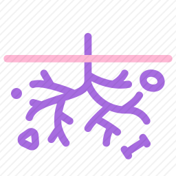 <em>根</em>图标