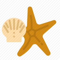 海星贝壳图标