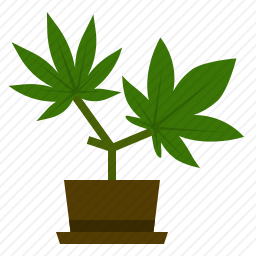 大麻盆栽图标