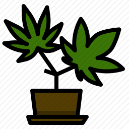 大麻盆栽图标
