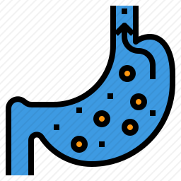 胃图标