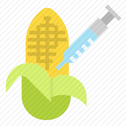 转基因玉米图标