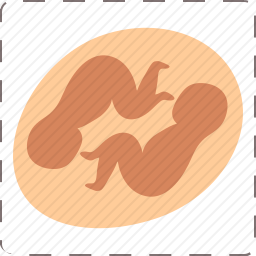<em>胚胎</em>图标