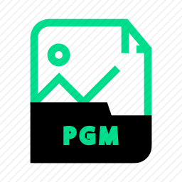 PGM文件图标