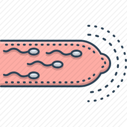 避孕套图标