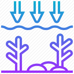 海洋图标