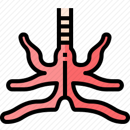 支气管图标