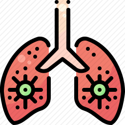 肺图标