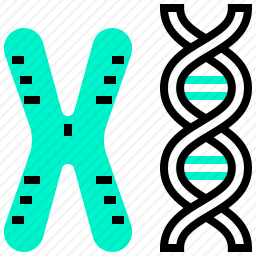 DNA与染色体图标
