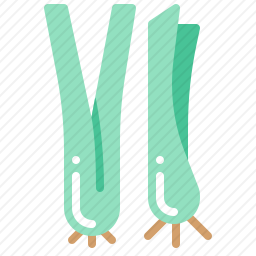 芹菜图标