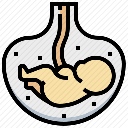 胚胎图标