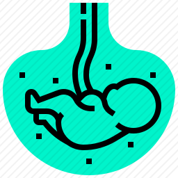 胚胎图标