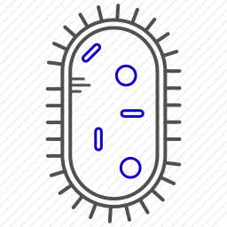 细菌图标