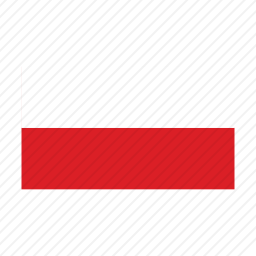 波兰图标