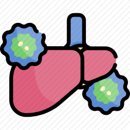 肝癌图标