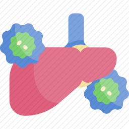 <em>肝癌</em>图标