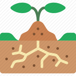 萌芽图标