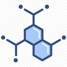 酶图标