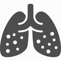 <em>肺</em>图标