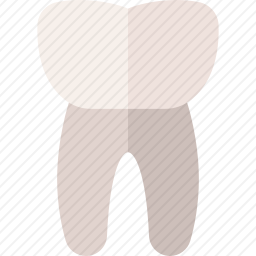 <em>前臼齿</em>图标