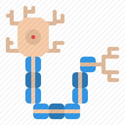 神经图标
