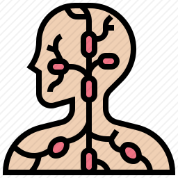 神经系统图标