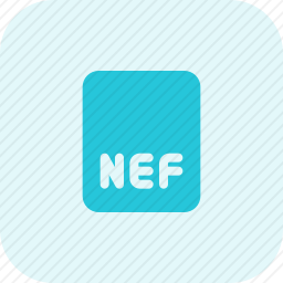NEF文件图标