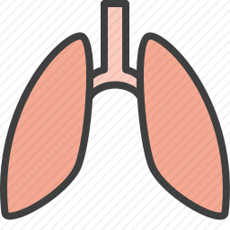 <em>肺</em>图标