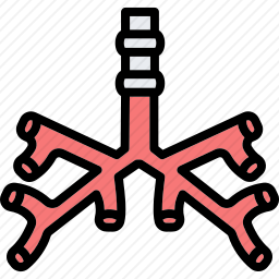 支气管图标