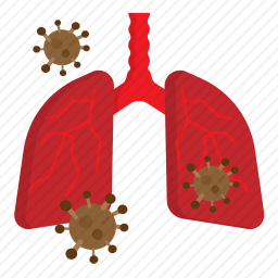 肺图标