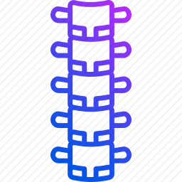 脊柱图标