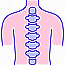 脊柱图标