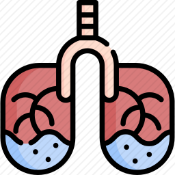 肺图标