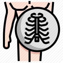 肋骨图标