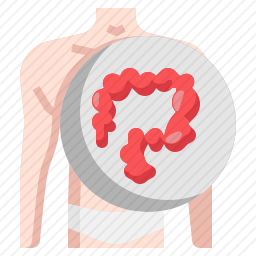 大肠图标