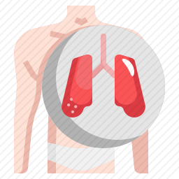 肺图标