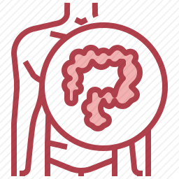 大肠图标