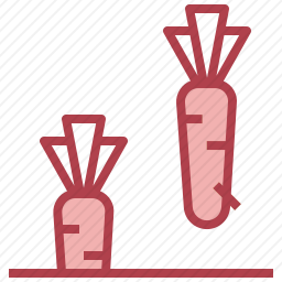 胡萝卜图标