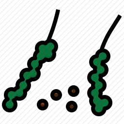黑胡椒图标