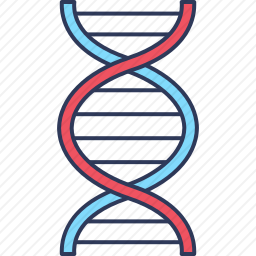<em>DNA</em>图标
