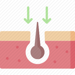 毛发移植图标