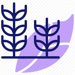 小麦<em>植株</em>图标