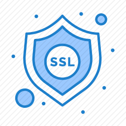 <em>SSL</em>图标