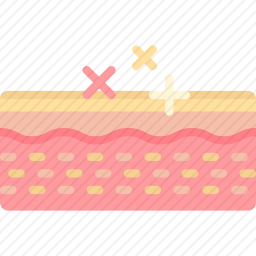 皮肤图标