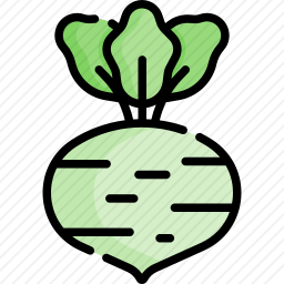 <em>大头菜</em>图标