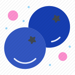 蓝莓图标